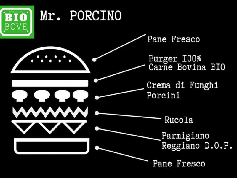 Mr. PORCINO