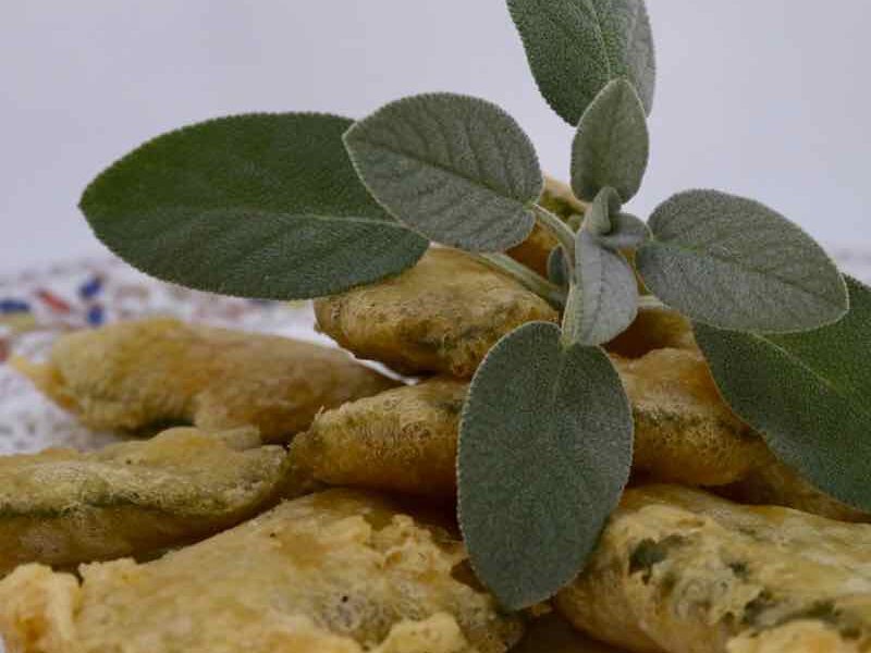 Salvia fritta