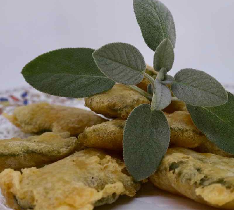 Salvia fritta
